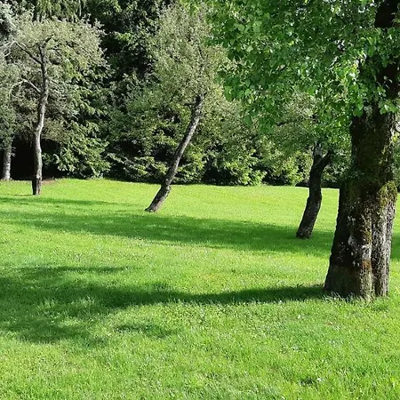 Lejlighed Forest Prestranek